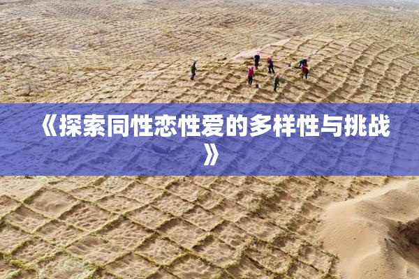 《探索同性恋性爱的多样性与挑战》