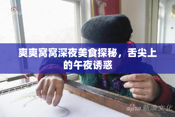 爽爽窝窝深夜美食探秘，舌尖上的午夜诱惑