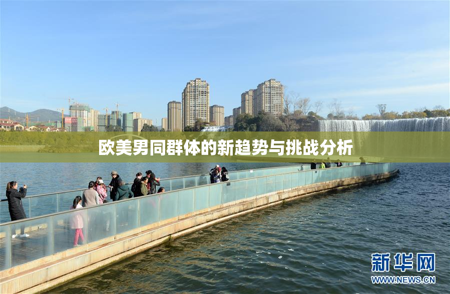 欧美男同群体的新趋势与挑战分析
