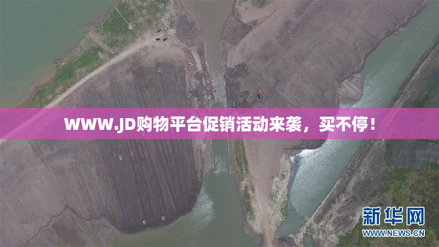 WWW.JD购物平台促销活动来袭，买不停！