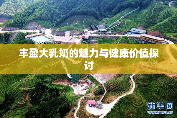 丰盈大乳奶的魅力与健康价值探讨