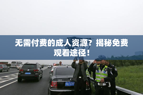 无需付费的成人资源？揭秘免费观看途径！