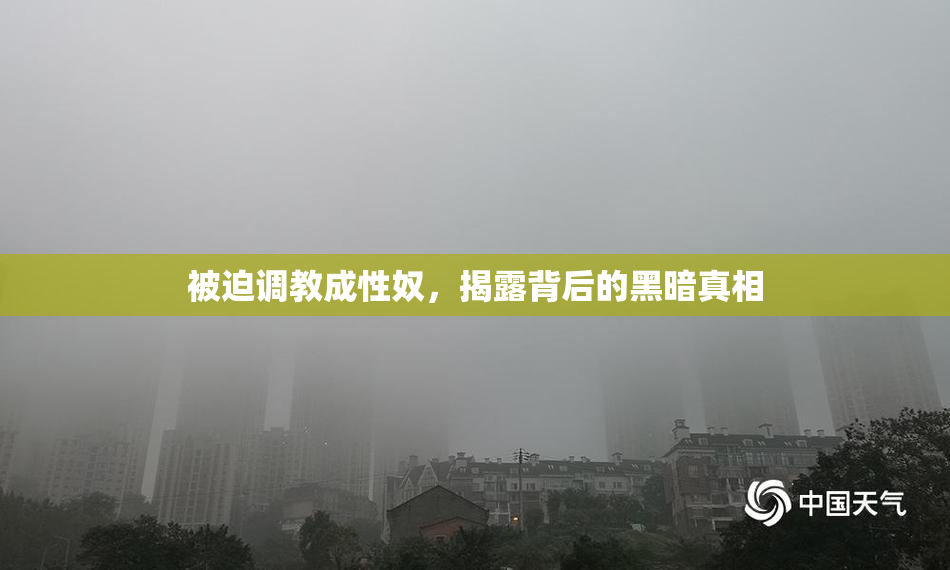 被迫调教成性奴，揭露背后的黑暗真相