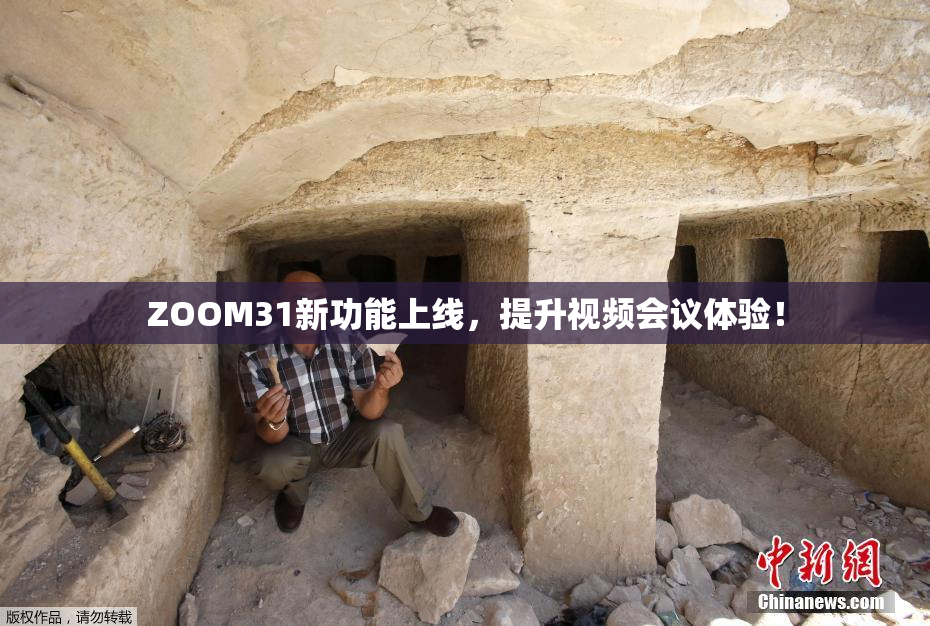 ZOOM31新功能上线，提升视频会议体验！