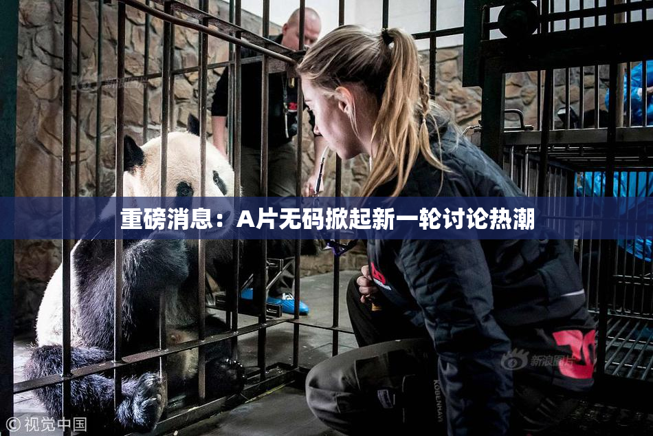 重磅消息：A片无码掀起新一轮讨论热潮