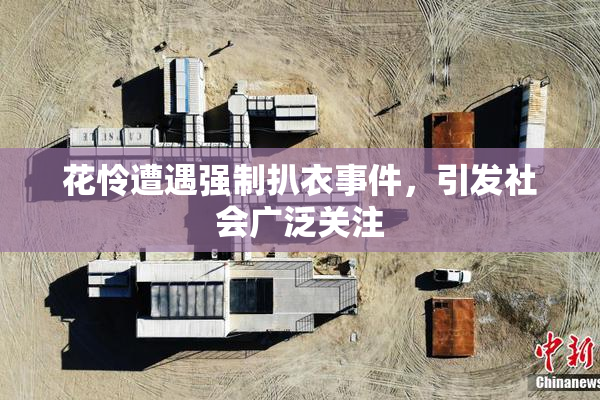 花怜遭遇强制扒衣事件，引发社会广泛关注