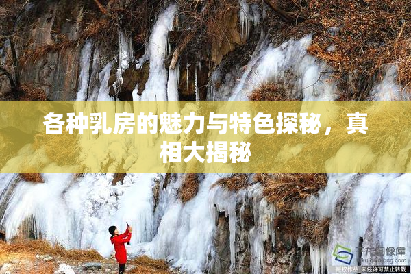 各种乳房的魅力与特色探秘，真相大揭秘