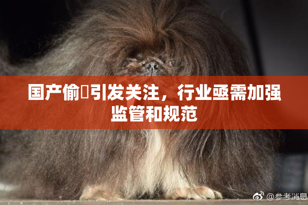 国产偷抇引发关注，行业亟需加强监管和规范