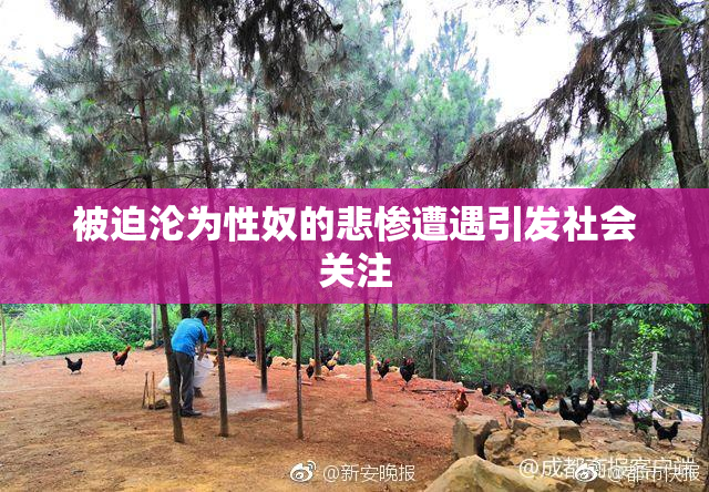 被迫沦为性奴的悲惨遭遇引发社会关注