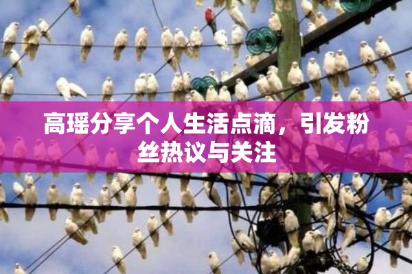 高瑶分享个人生活点滴，引发粉丝热议与关注