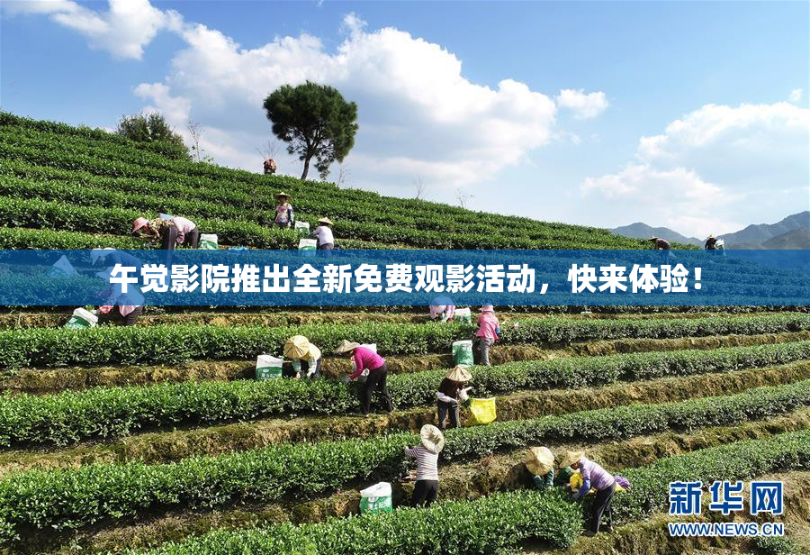 午觉影院推出全新免费观影活动，快来体验！