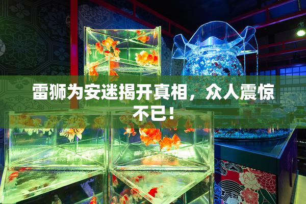 雷狮为安迷揭开真相，众人震惊不已！