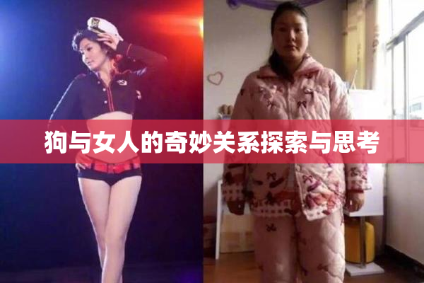 狗与女人的奇妙关系探索与思考
