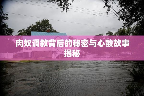 肉奴调教背后的秘密与心酸故事揭秘
