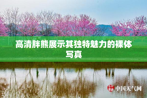 高清胖熊展示其独特魅力的裸体写真