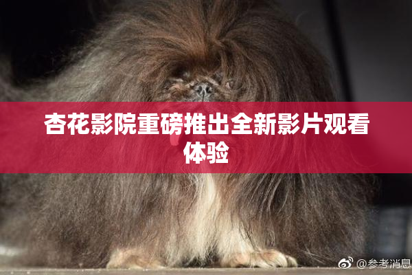 杏花影院重磅推出全新影片观看体验