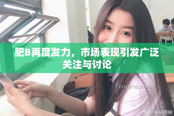 肥B再度发力，市场表现引发广泛关注与讨论