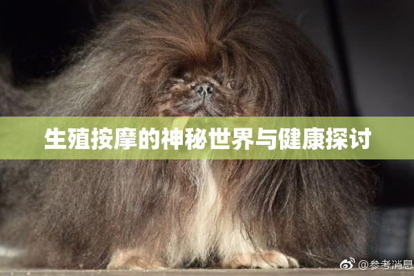 生殖按摩的神秘世界与健康探讨