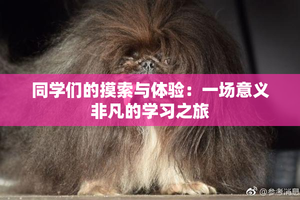 同学们的摸索与体验：一场意义非凡的学习之旅