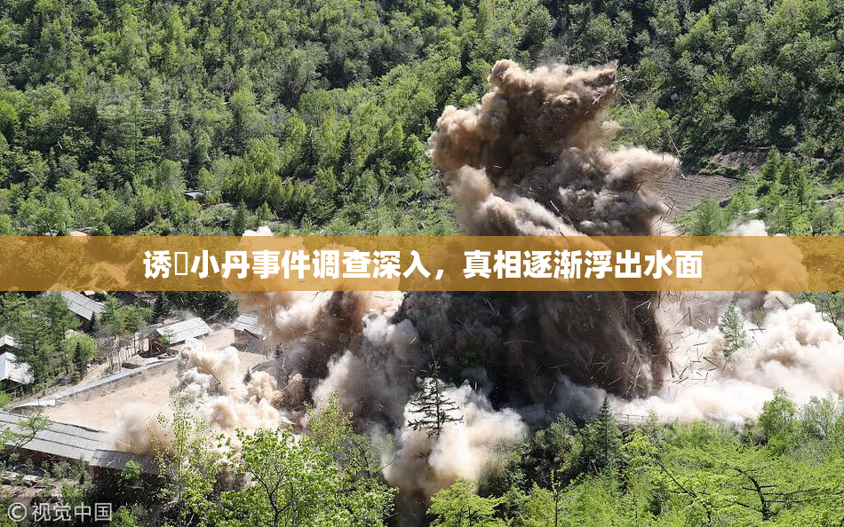 诱奷小丹事件调查深入，真相逐渐浮出水面