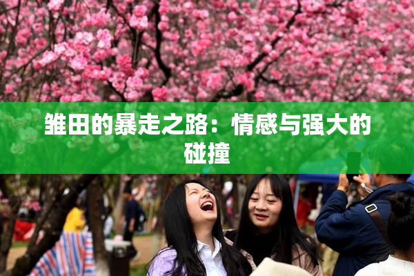 雏田的暴走之路：情感与强大的碰撞