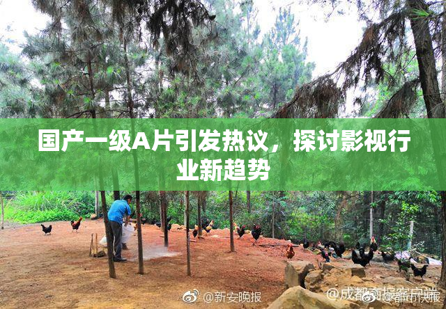 国产一级A片引发热议，探讨影视行业新趋势