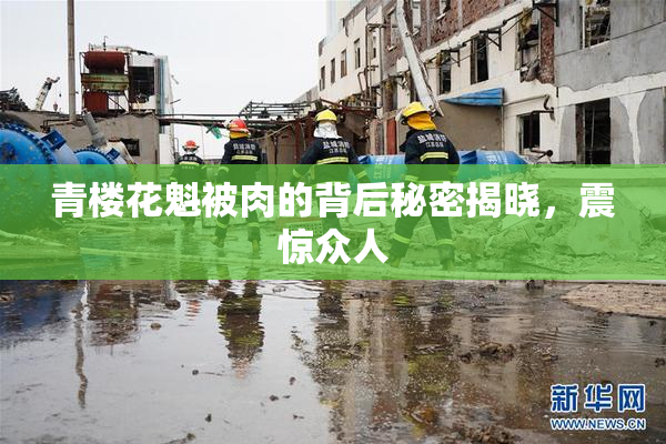青楼花魁被肉的背后秘密揭晓，震惊众人