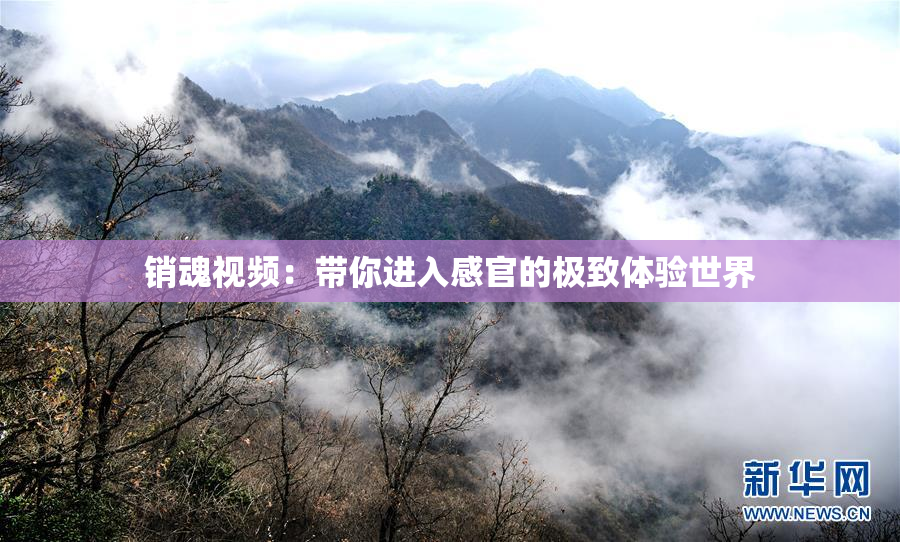 销魂视频：带你进入感官的极致体验世界