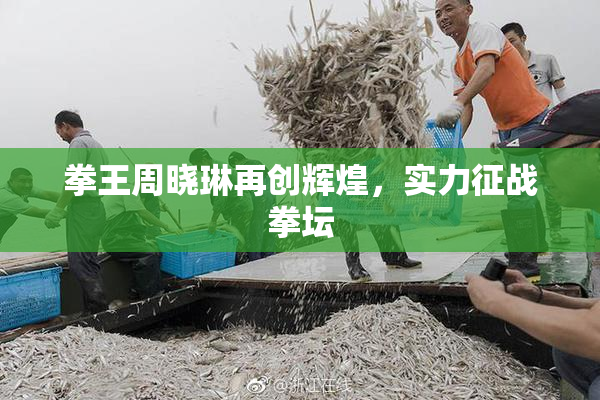 拳王周晓琳再创辉煌，实力征战拳坛