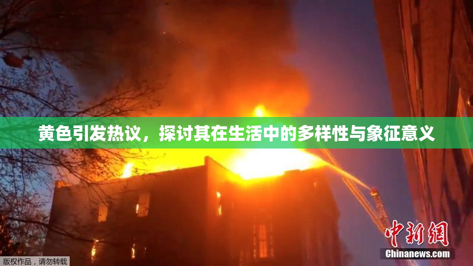 黄色引发热议，探讨其在生活中的多样性与象征意义