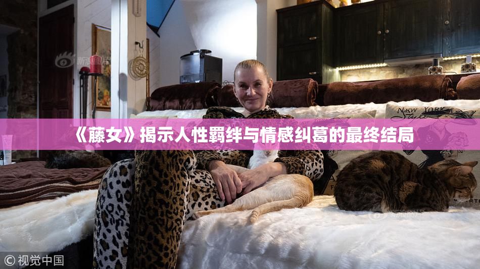 《藤女》揭示人性羁绊与情感纠葛的最终结局