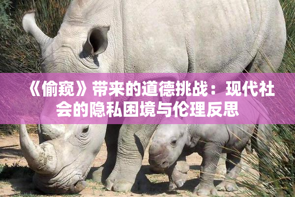 《偷窥》带来的道德挑战：现代社会的隐私困境与伦理反思