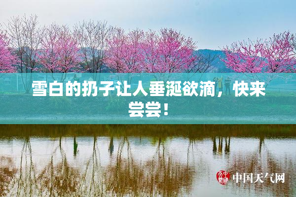 雪白的扔子让人垂涎欲滴，快来尝尝！