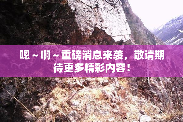嗯～啊～重磅消息来袭，敬请期待更多精彩内容！