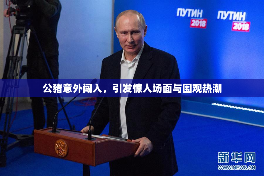 公猪意外闯入，引发惊人场面与围观热潮