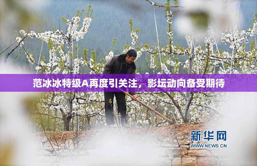 范冰冰特级A再度引关注，影坛动向备受期待