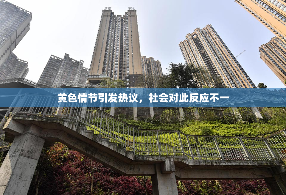 黄色情节引发热议，社会对此反应不一