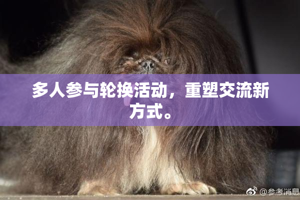 多人参与轮换活动，重塑交流新方式。