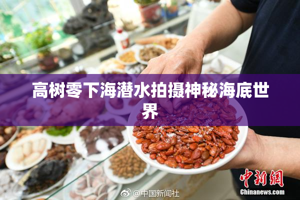 高树零下海潜水拍摄神秘海底世界