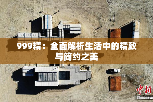 999精：全面解析生活中的精致与简约之美