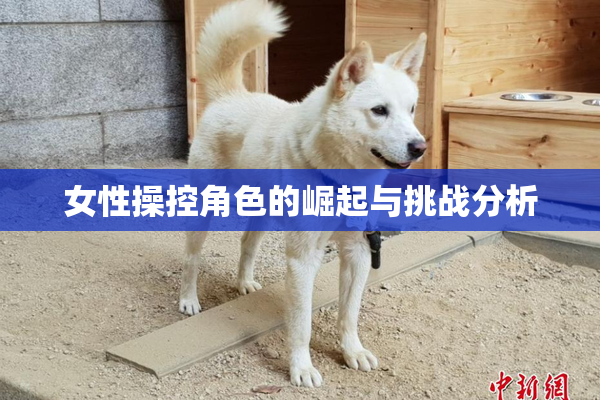 女性操控角色的崛起与挑战分析