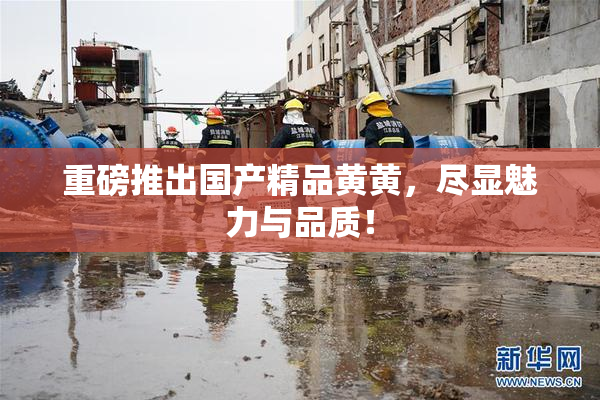 重磅推出国产精品黄黄，尽显魅力与品质！