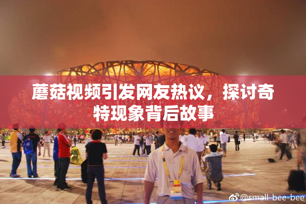 蘑菇视频引发网友热议，探讨奇特现象背后故事