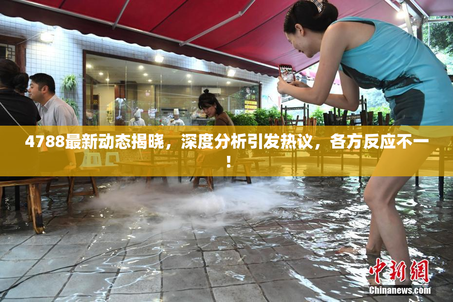 4788最新动态揭晓，深度分析引发热议，各方反应不一！