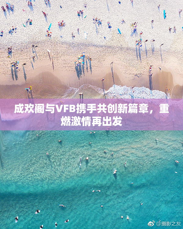 成欢阁与VFB携手共创新篇章，重燃激情再出发
