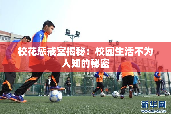 校花惩戒室揭秘：校园生活不为人知的秘密