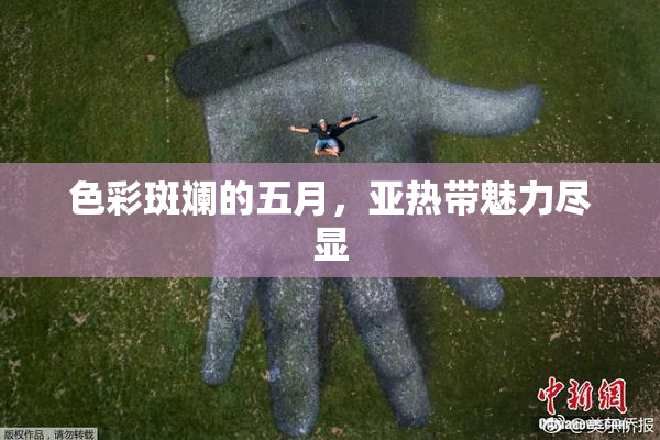 色彩斑斓的五月，亚热带魅力尽显