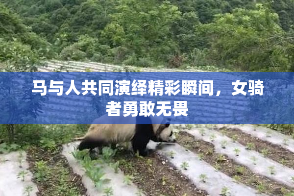 马与人共同演绎精彩瞬间，女骑者勇敢无畏