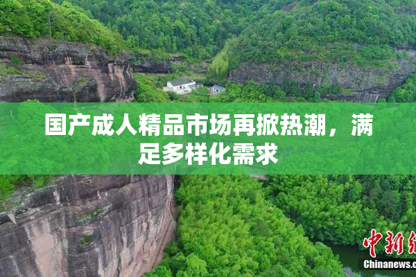国产成人精品市场再掀热潮，满足多样化需求