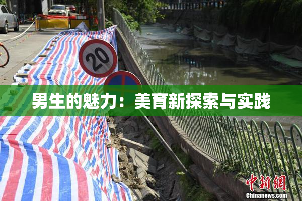 男生的魅力：美育新探索与实践